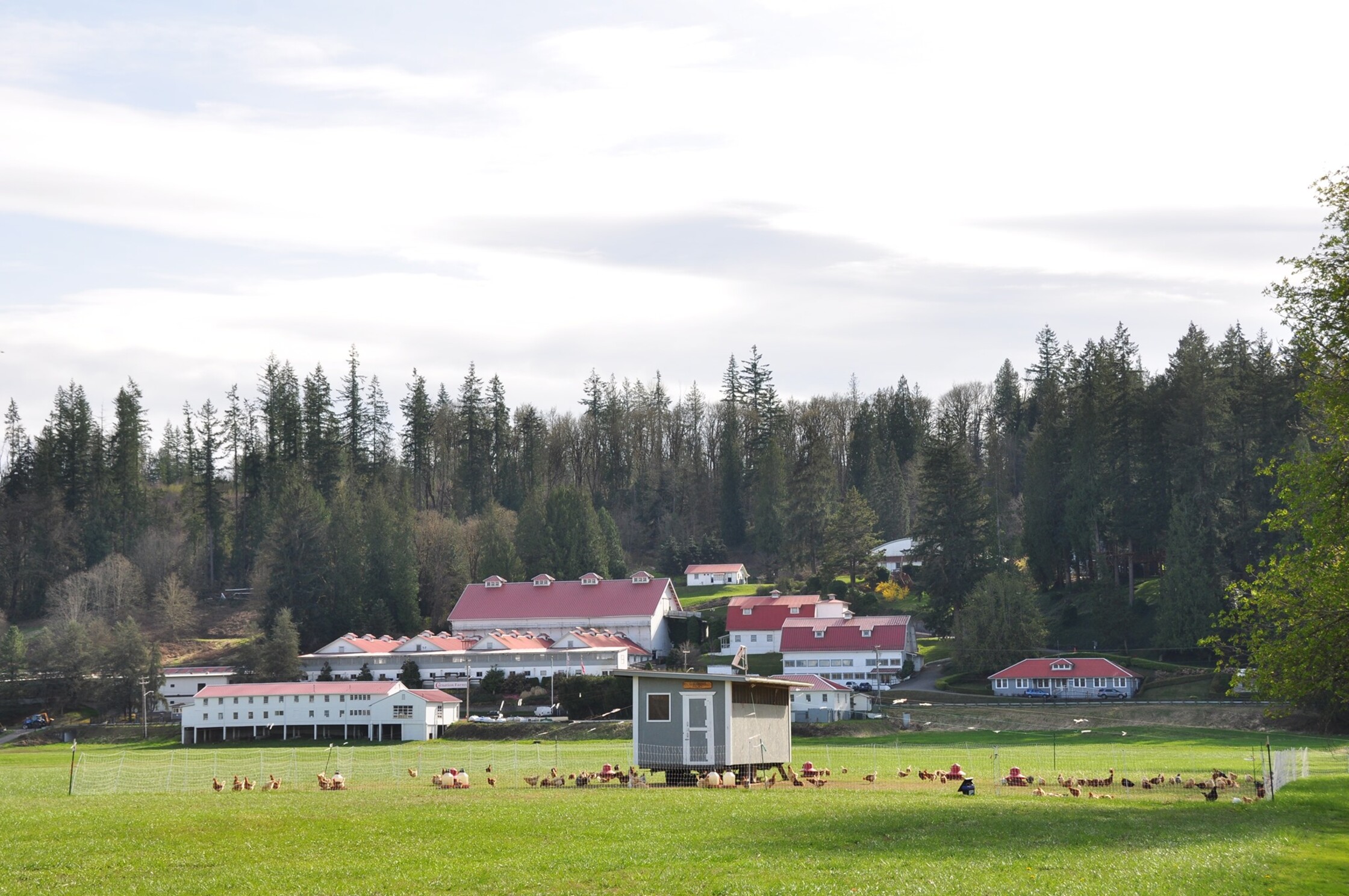 Carnation Farms farm